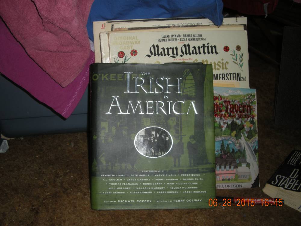 Irish in America