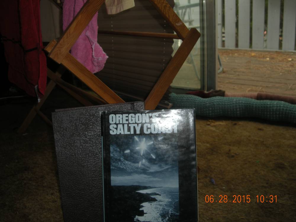 salty coast